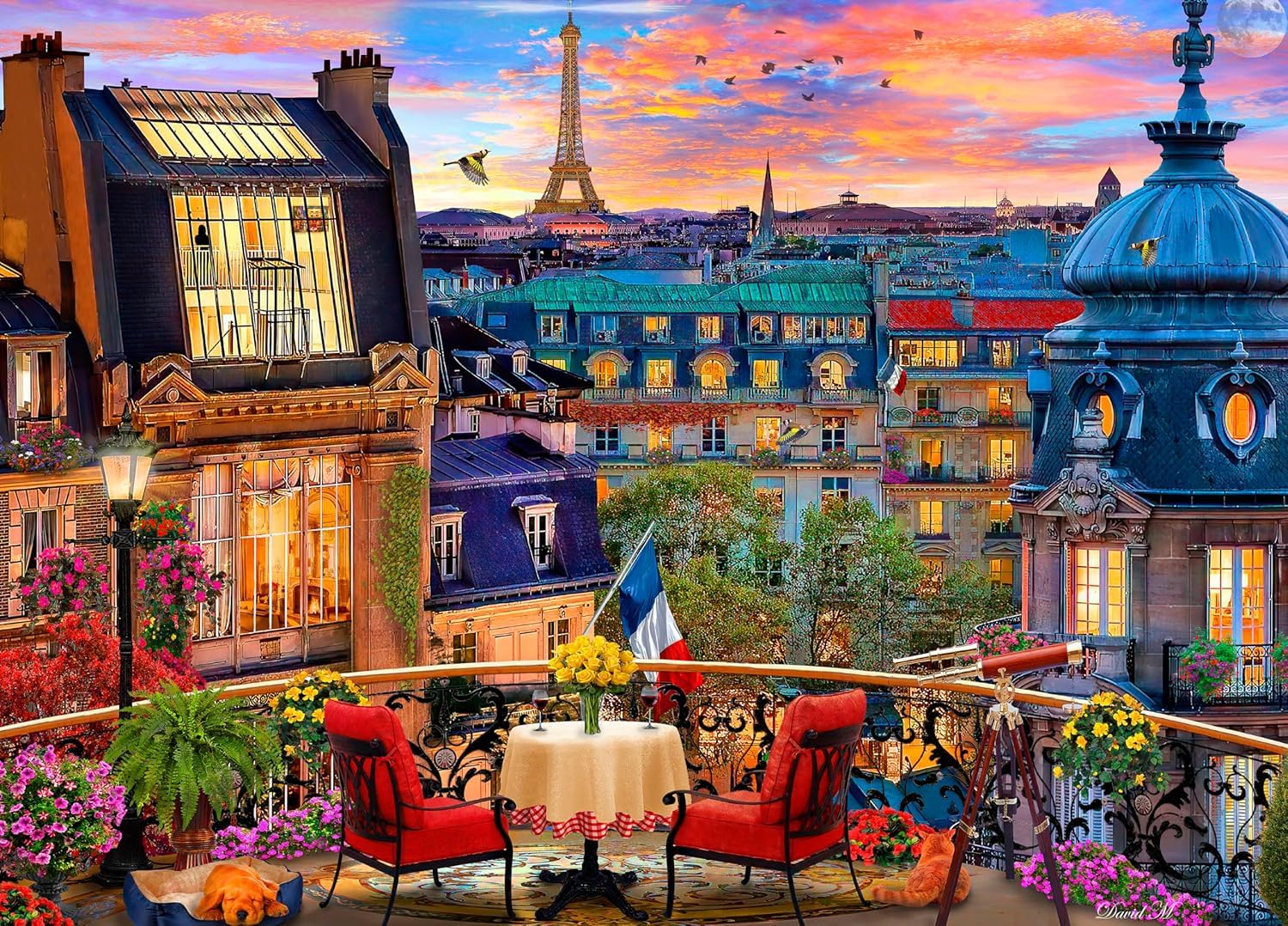 Amazon.com: Ceaco - David Maclean - Cities - Paris Rooftop - 1000